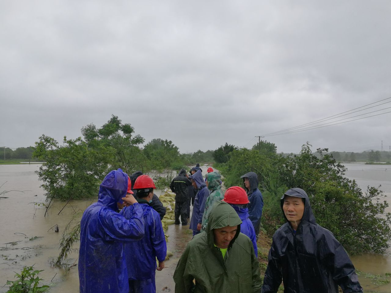 1594095972474726.jpg 1594095972474726.jpg