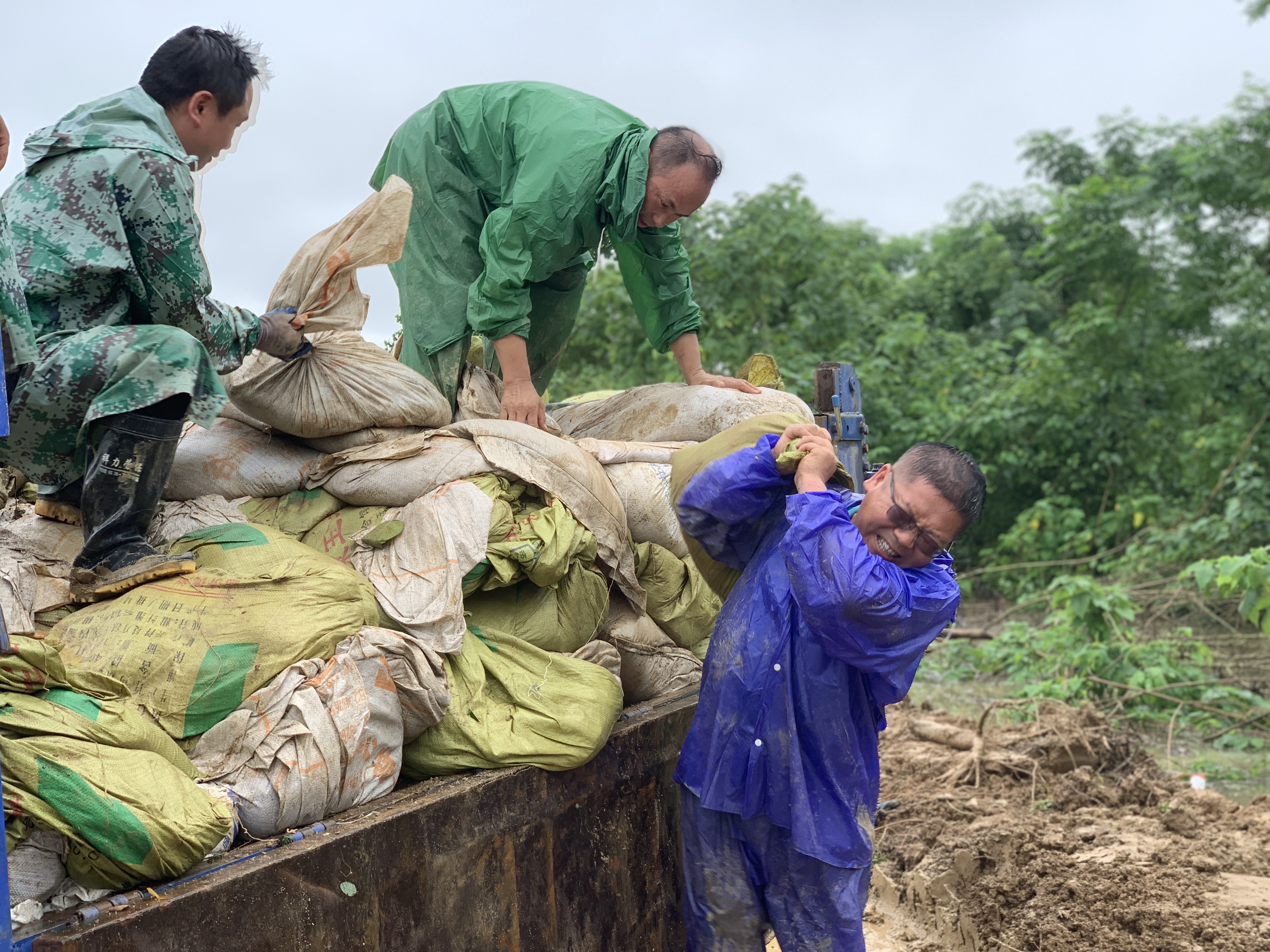 1594096032134272.jpg 1594096032134272.jpg