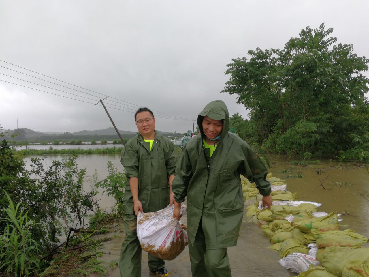 1594096032135124.jpg 1594096032135124.jpg