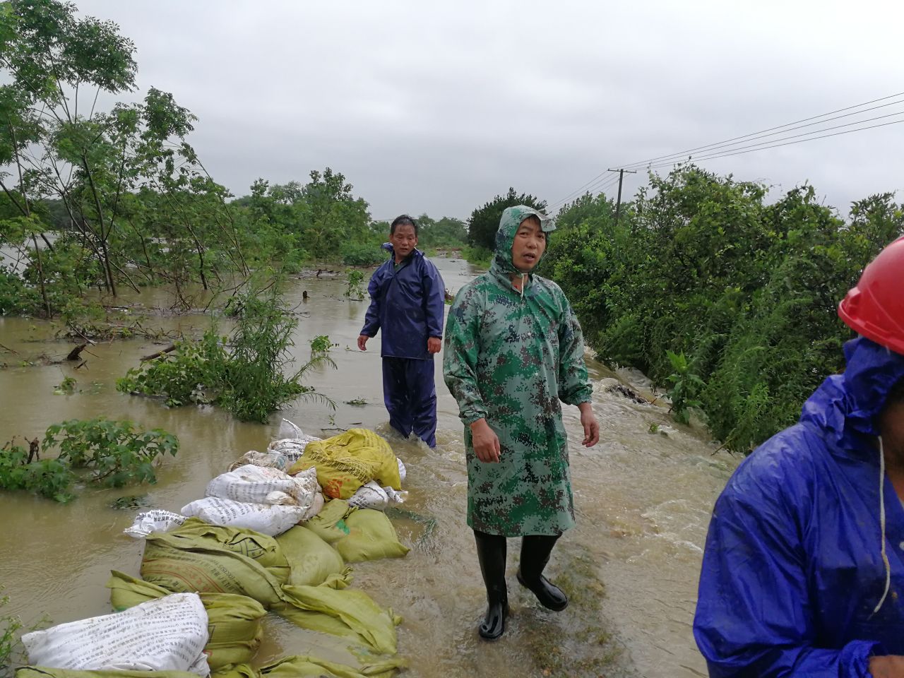 1594096032519178.jpg 1594096032519178.jpg