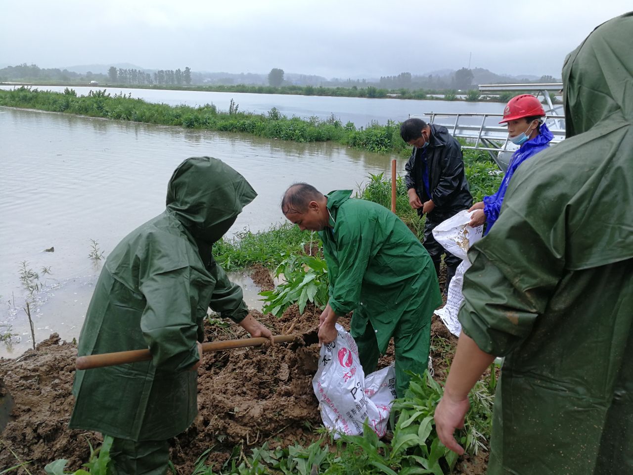 1594096032833353.jpg 1594096032833353.jpg